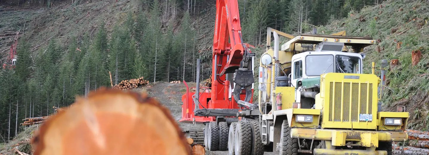 We're Here to Help background picture